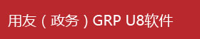 用友（政务）GRP U8软件